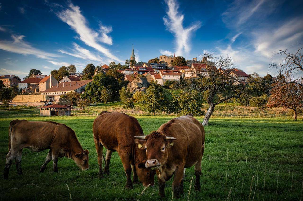 Ferienwohnung Altenstein Maroldsweisach Екстериор снимка